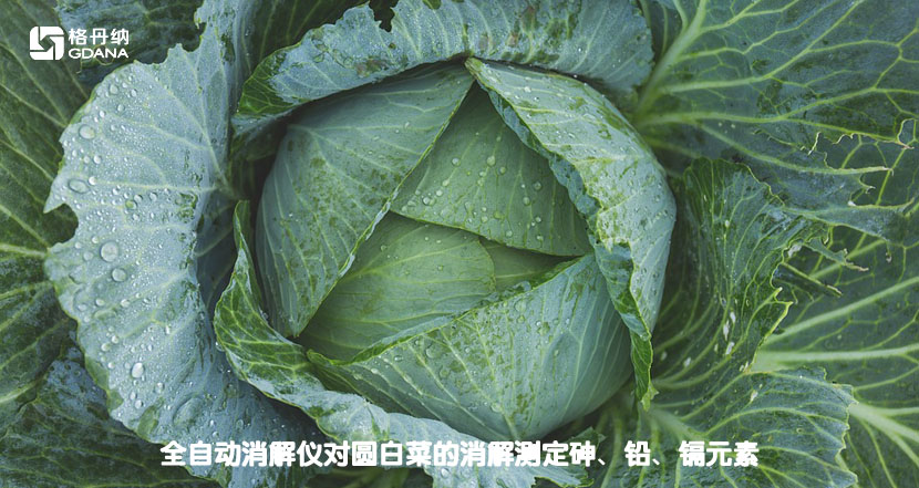 全自動(dòng)消解儀對(duì)圓白菜的消解測(cè)定砷、鉛、鎘元素