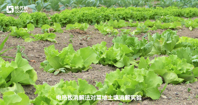 電熱板消解法對(duì)菜地土壤消解實(shí)驗(yàn)