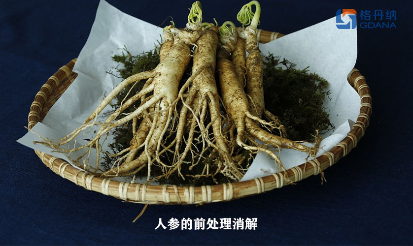 ”傳說(shuō)“珍寶人參的前處理消解-陶瓷加熱板