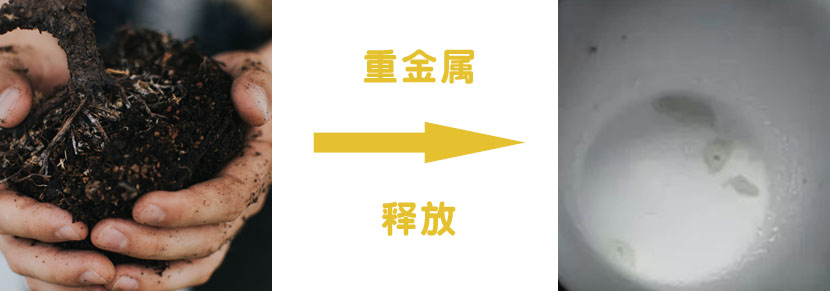 土壤消解成液體形態(tài)