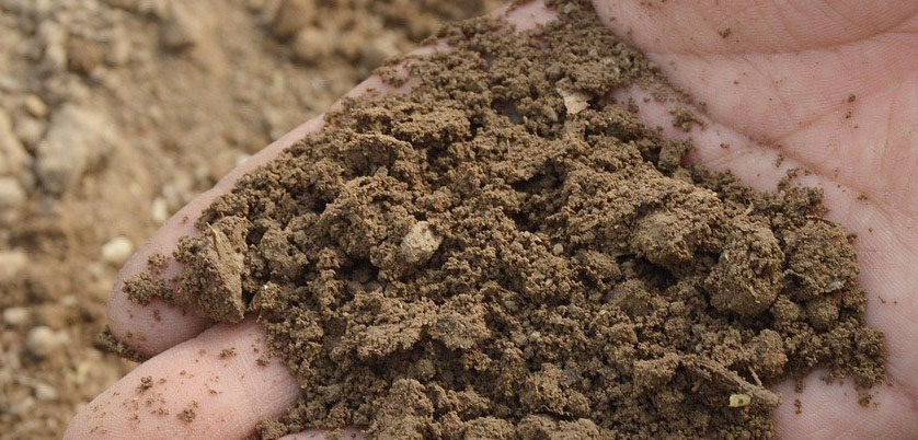 實(shí)驗(yàn)電熱板消解土壤、沉積物是否加高氯酸？