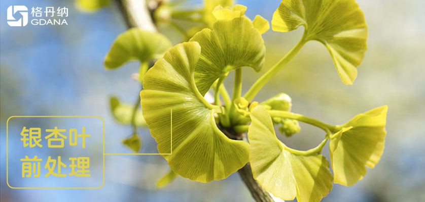 D6智能石墨消解儀對(duì)銀杏葉提取物前處理消解方法