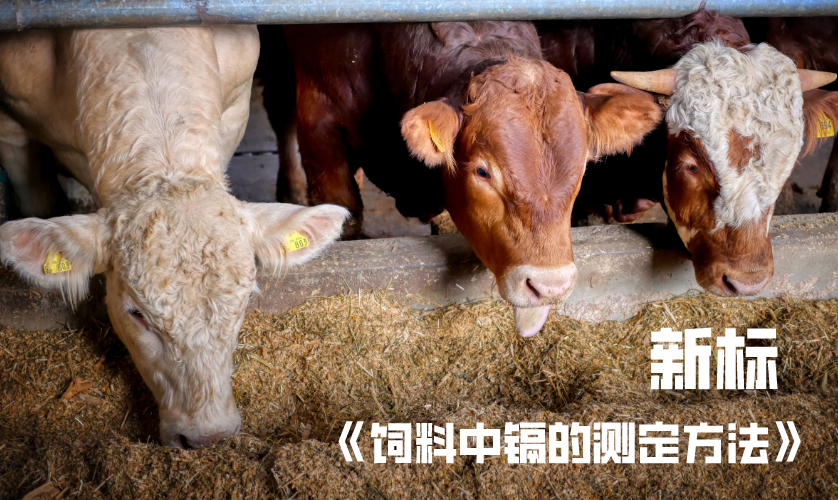 新標(biāo)《飼料中鎘的測(cè)定方法》正式發(fā)布