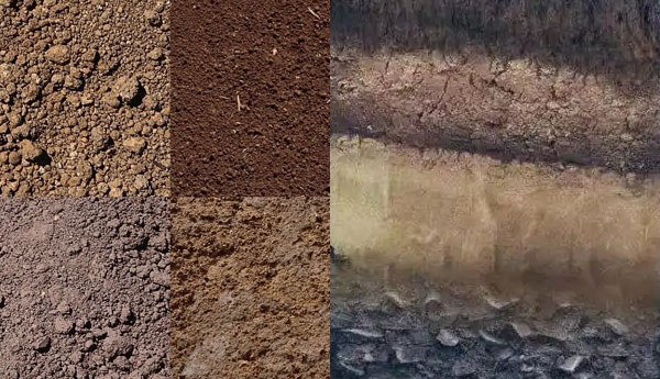 陶瓷加熱板消解方法處理土壤和沉積物測定鈹元素