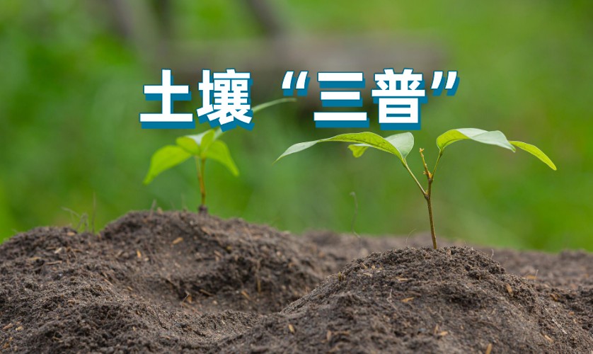 第三次全國土壤普查