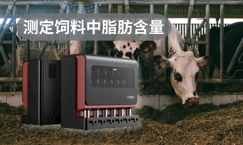 全自動索氏脂肪測定儀測定飼料中脂肪含量