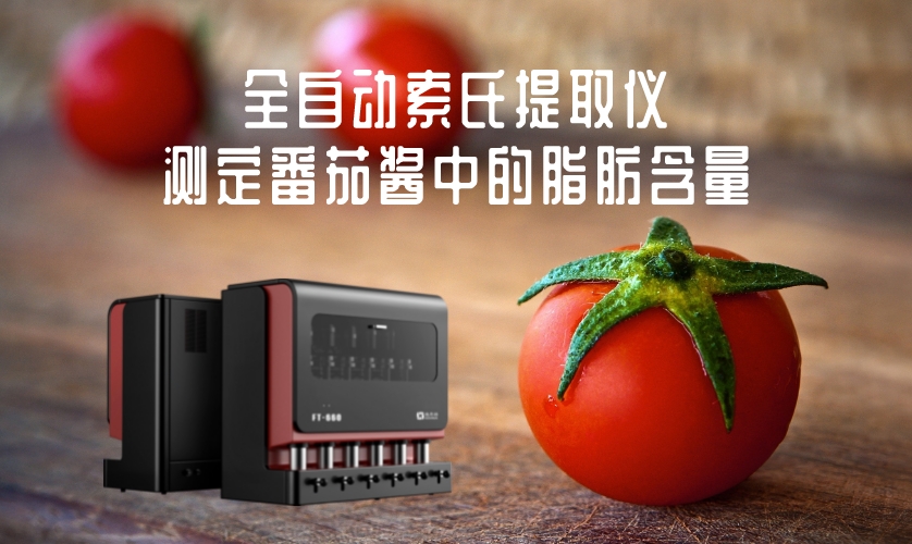 番茄醬比新鮮番茄更好？全自動索氏提取儀對其脂肪含量測定