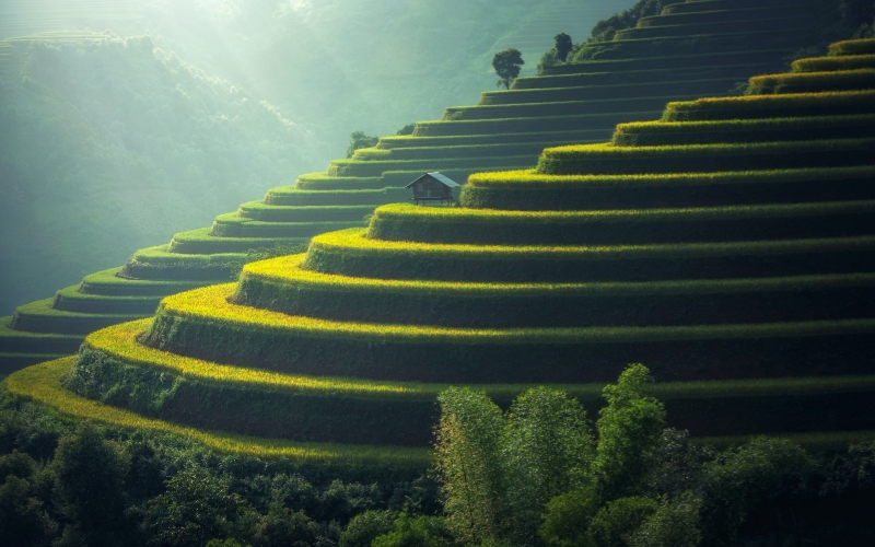 土壤無機重金屬污染物檢測 土壤無機重金屬污染物檢測