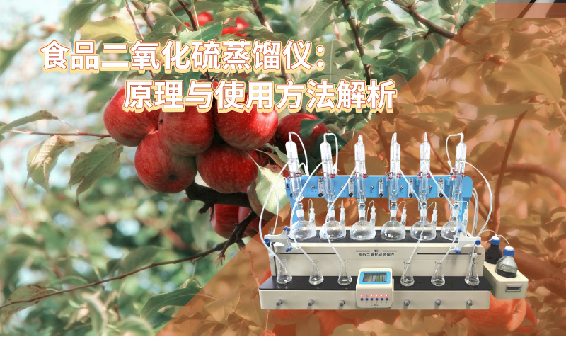 食品二氧化硫蒸餾儀：原理與使用方法解析